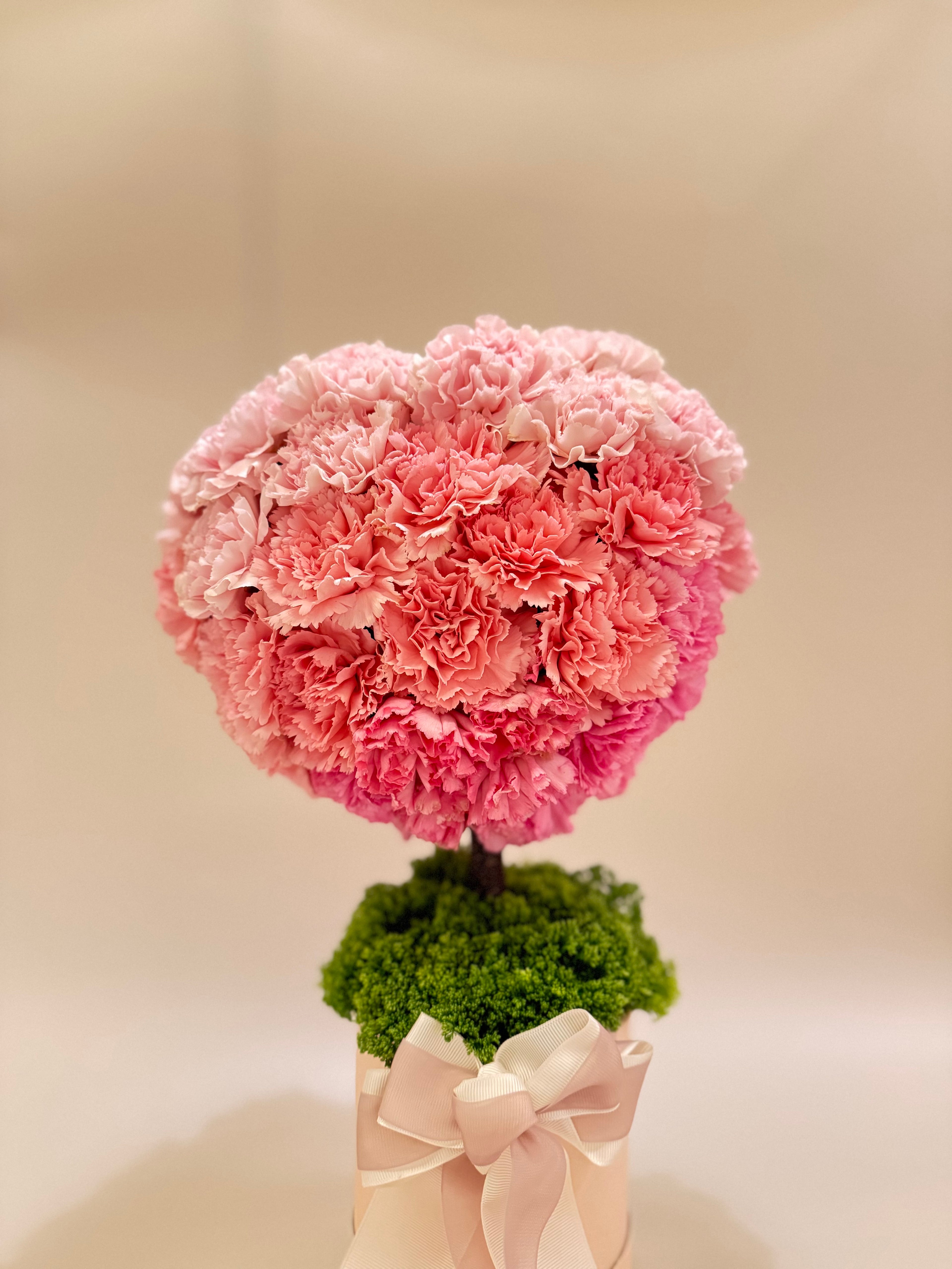 母親節康乃馨花禮 Mother's Day Carnation Flower Gift