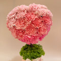 母親節康乃馨花禮 Mother's Day Carnation Flower Gift